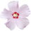 Sharon-Rose