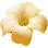 Puakenikeni blossom