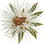 Kunzea