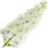 Laurel blossom