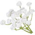 Baby's breath