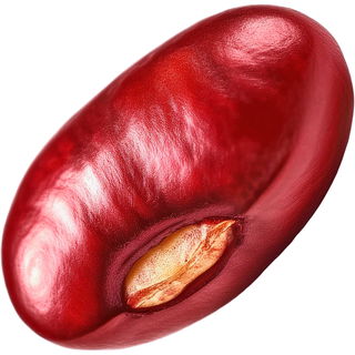 Adzukibohne