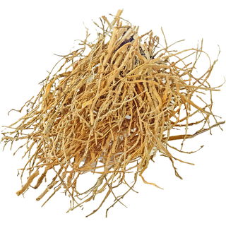 Patchouli root