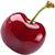 Sour cherry