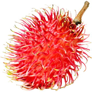 Rambutan