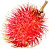 Rambutan