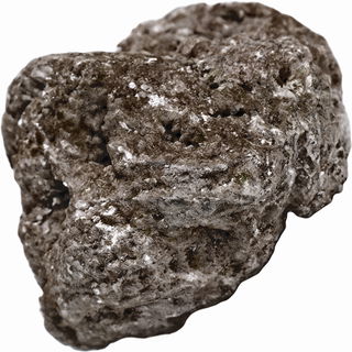 Black ambergris absolute