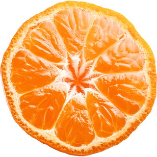 Florida-Tangerine