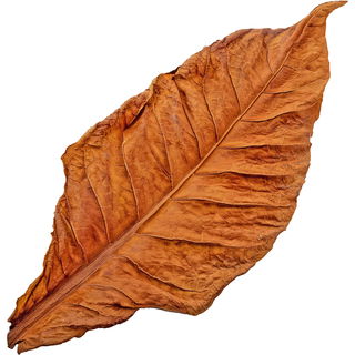 Tabak
