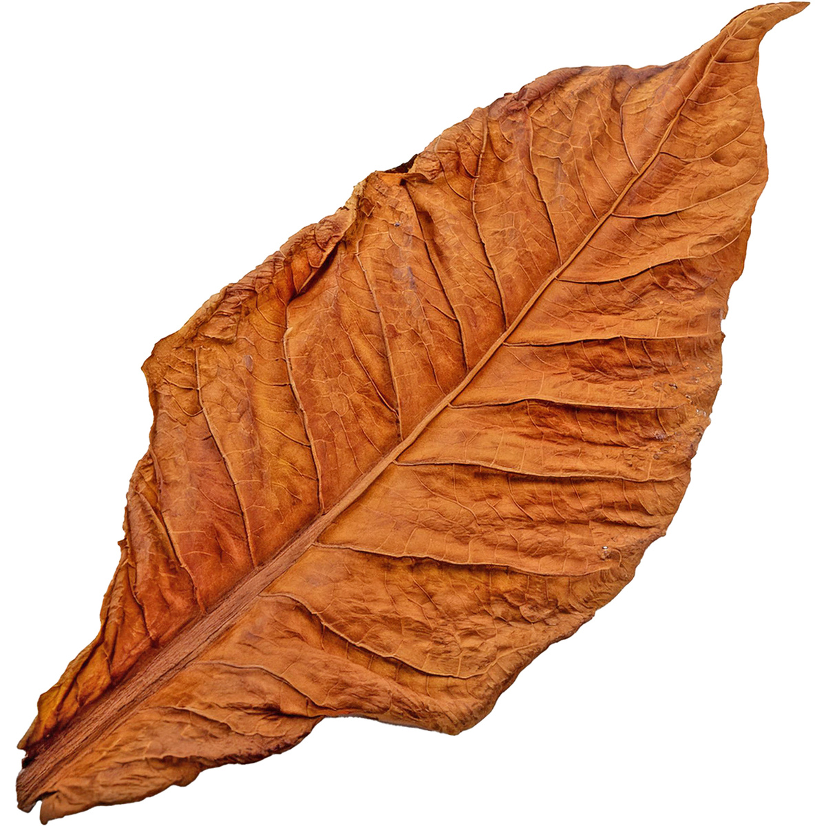 Tabak