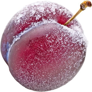 Sugared plum