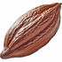 Peruvian cocoa bean absolute