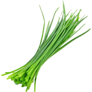 Schnittlauch