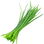Chives