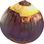 Sugar palm fruit