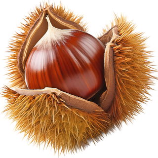 Edelkastanie