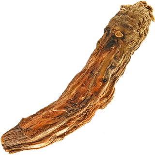 Enzianwurzel
