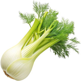 verkohlter Fenchel