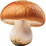 Pilze