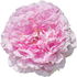 Jacques-Cartier-Rose