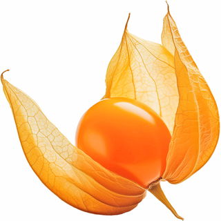 Cape gooseberry