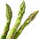 Asparagus