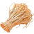Bourbon vetiver
