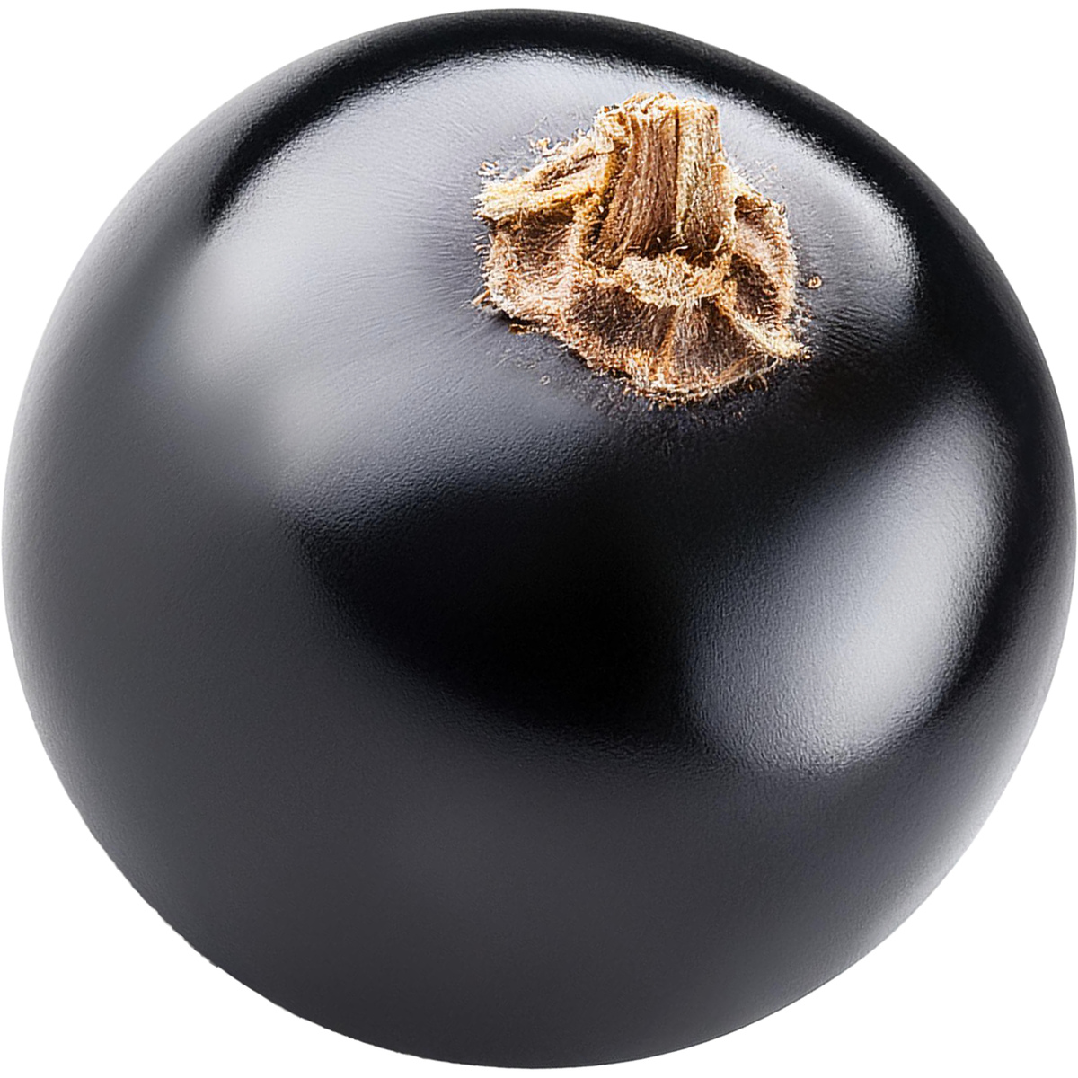 Schwarze Johannisbeere
