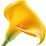 Calla