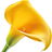 Calla