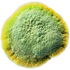 Mold
