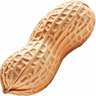 Roasted peanut