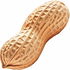 Roasted peanut