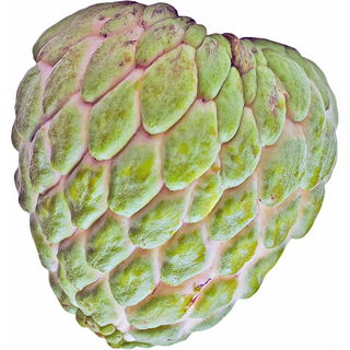 Cherimoya