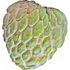 Cherimoya