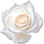 weiße Rose