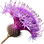 Knapweed