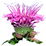 Monarda