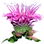 Monarde