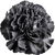 Black carnation