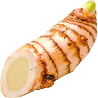 Galangal CO2
