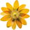 Waldblumen