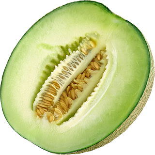 grüne Melone