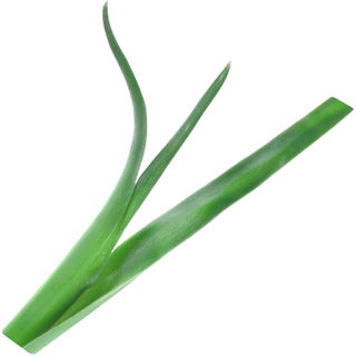 Gartennelkenblatt