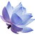Blue lotus