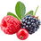 rote Beeren