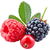 Red berries