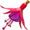 Fuchsie