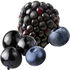 dunkle Beeren