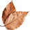 Dried leaves